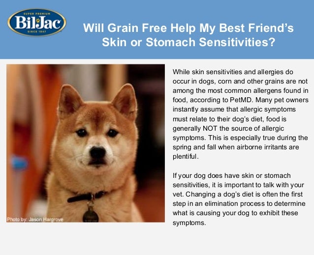 Does Grain Free Dog Food Help Allergies Does Grain Free Dog Food Help Allergies