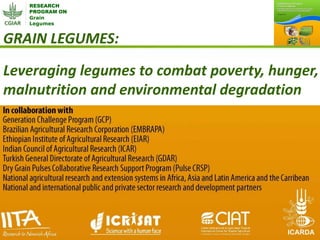 RESEARCH
PROGRAM ON
Grain
Legumes
GRAIN LEGUMES:
Leveraging legumes to combat poverty, hunger,
malnutrition and environmental degradation
 