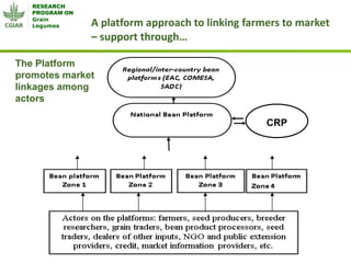 Grain Legumes - Presentation for Discussion with Donors and Partners - June 2013