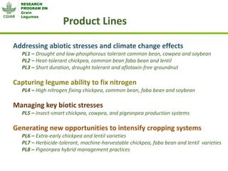 Grain Legumes - Presentation for Discussion with Donors and Partners - June 2013