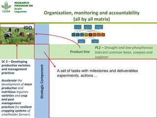 Grain Legumes - Presentation for Discussion with Donors and Partners - June 2013