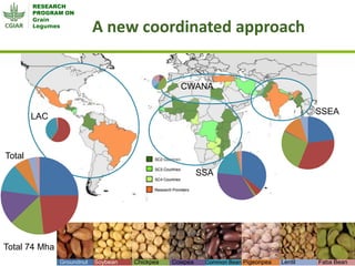 Grain Legumes - Presentation for Discussion with Donors and Partners - June 2013
