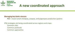 Grain Legumes - Presentation for Discussion with Donors and Partners - June 2013