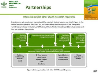 Grain Legumes - Presentation for Discussion with Donors and Partners - June 2013