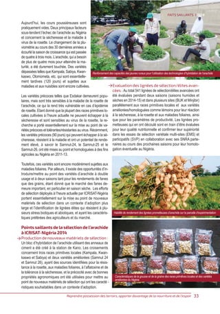 Improving Nigerias groundnut landraces for resistance to multiple biotic and abiotic stresses (French)