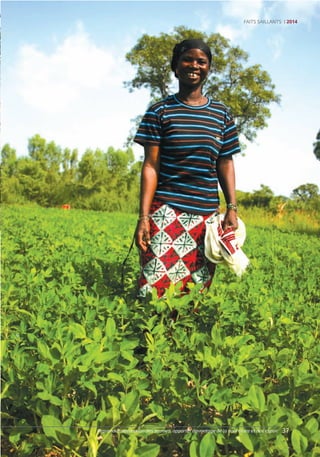 Positive income impact for women groundnut farmers: from PVS to seed production and marketing (French)