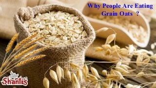 Why People Are Eating
Grain Oats ?
 