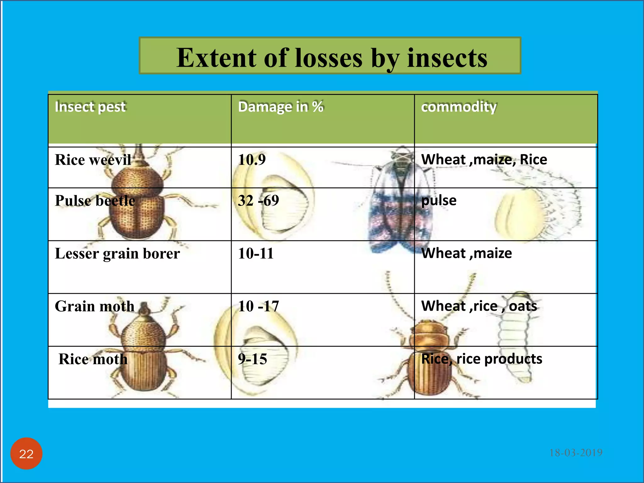Insect pest Damage in % commodity
Rice weevil 10.9 Wheat ,maize, Rice
Pulse beetle 32 -69 pulse
Lesser grain borer 10-11 Wheat ,maize
Grain moth 10 -17 Wheat ,rice , oats
Rice moth 9-15 Rice, rice products
Extent of losses by insects
18-03-201922
 