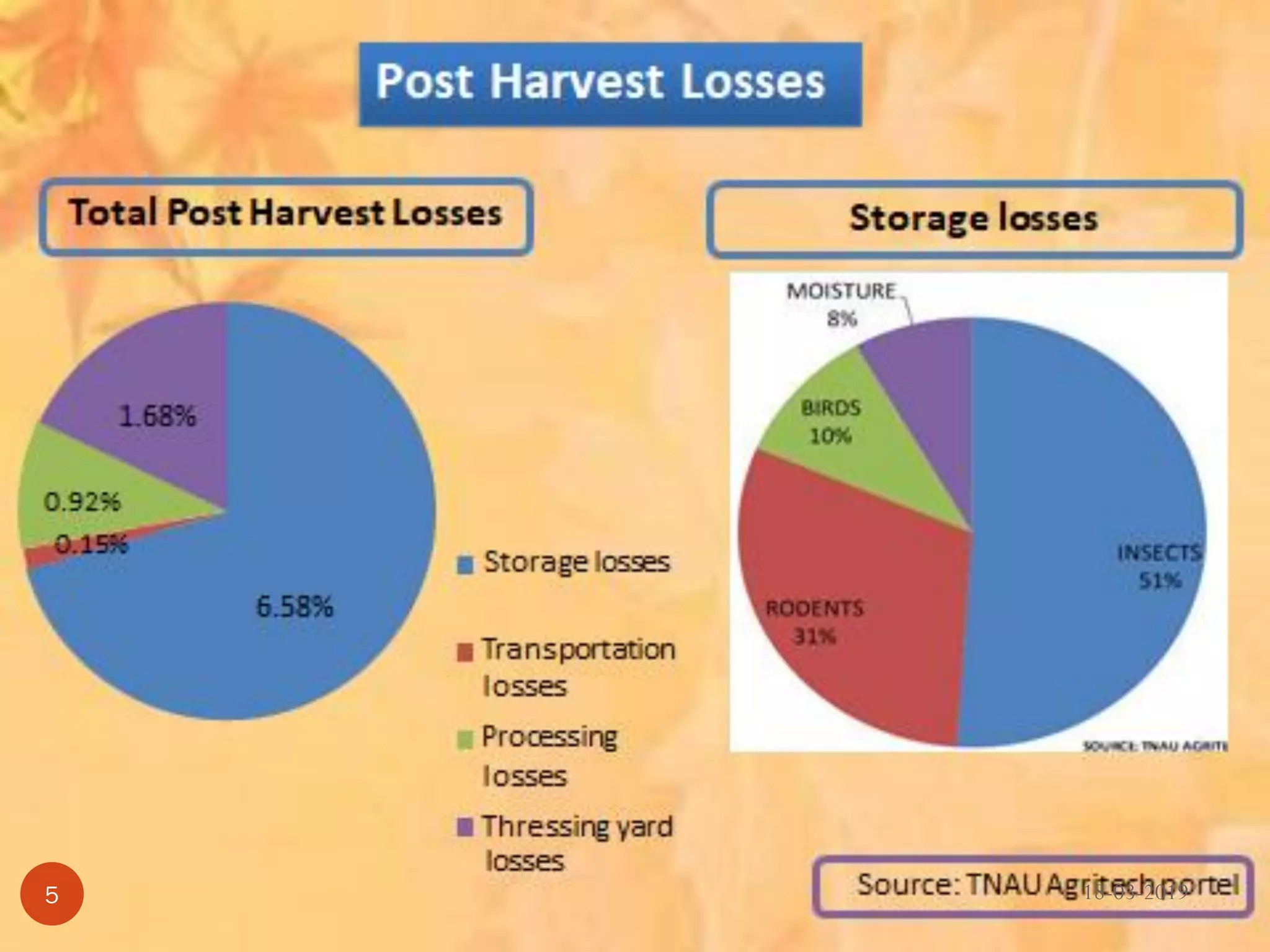 Percentage loss of food grains production
Stages
where loss
is caused
Wheat Rice Sorghum Bajra Maize Gram Millet Pulses
Threshing
Yard
1 2.5 2 0.5 0.5 0.5 1.0 0.5
Transport 0.5 0.5 0.5 0.5 0.5 0.5 0.5 0.5
Processing 2.0 - - - - - - 0.92
Storage
Rodents 2.5 2.5 2.5 2.5 2.5 2.5 2.5 2.5
Birds 0.5 1.0 1.0 1.0 0.5 0.5 2.0 0.5
Insects 3.0 2.0 2.0 1.0 3.0 5.0 0.5 5.0
Moisture 0.5 0.5 2.0 0.5 0.5 0.5 0.5 0.5
18-03-20195
 