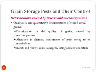 Grain Storage Pests and Their Control
Deteriorations caused by insects and microorganisms
 Qualitative and quantitative deteriorations of stored cereal
grains.
Deterioration in the quality of grains, caused by
microorganisms
Alteration in chemical constituents of grain owing to its
metabolism
Insects and rodents cause damage by eating and contamination
18-03-201919
 