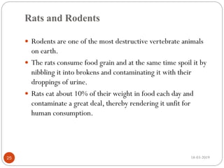 Rats and Rodents
 Rodents are one of the most destructive vertebrate animals
on earth.
 The rats consume food grain and at the same time spoil it by
nibbling it into brokens and contaminating it with their
droppings of urine.
 Rats eat about 10% of their weight in food each day and
contaminate a great deal, thereby rendering it unfit for
human consumption.
18-03-201925
 