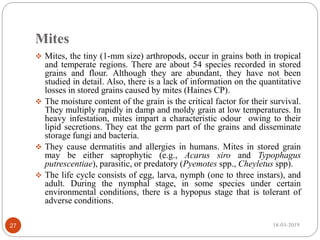 Mites
 Mites, the tiny (1-mm size) arthropods, occur in grains both in tropical
and temperate regions. There are about 54 species recorded in stored
grains and flour. Although they are abundant, they have not been
studied in detail. Also, there is a lack of information on the quantitative
losses in stored grains caused by mites (Haines CP).
 The moisture content of the grain is the critical factor for their survival.
They multiply rapidly in damp and moldy grain at low temperatures. In
heavy infestation, mites impart a characteristic odour owing to their
lipid secretions. They eat the germ part of the grains and disseminate
storage fungi and bacteria.
 They cause dermatitis and allergies in humans. Mites in stored grain
may be either saprophytic (e.g., Acarus siro and Typophagus
putrescentiae), parasitic, or predatory (Pyemotes spp., Cheyletus spp).
 The life cycle consists of egg, larva, nymph (one to three instars), and
adult. During the nymphal stage, in some species under certain
environmental conditions, there is a hypopus stage that is tolerant of
adverse conditions.
18-03-201927
 