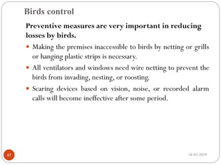Birds control
18-03-201947
Preventive measures are very important in reducing
losses by birds.
 Making the premises inaccessible to birds by netting or grills
or hanging plastic strips is necessary.
 All ventilators and windows need wire netting to prevent the
birds from invading, nesting, or roosting.
 Scaring devices based on vision, noise, or recorded alarm
calls will become ineffective after some period.
 