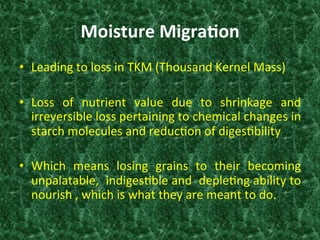 Moisture	
  Migra0on	
  
•  Leading	
  to	
  loss	
  in	
  TKM	
  (Thousand	
  Kernel	
  Mass)	
  
•  Loss	
   of	
   nutrient	
   value	
   due	
   to	
   shrinkage	
   and	
  
irreversible	
  loss	
  pertaining	
  to	
  chemical	
  changes	
  in	
  
starch	
  molecules	
  and	
  reduc:on	
  of	
  diges:bility	
  	
  
•  Which	
   means	
   losing	
   grains	
   to	
   their	
   becoming	
  
unpalatable,	
  	
  indiges:ble	
  and	
  	
  deple:ng	
  ability	
  to	
  
nourish	
  ,	
  which	
  is	
  what	
  they	
  are	
  meant	
  to	
  do.	
  	
  
 