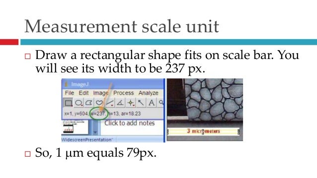 Grain Size Analysis By Using Imagej