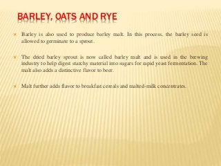 Major Baring Rye Grain structure of major cereals, pulses and oilseed | PPT