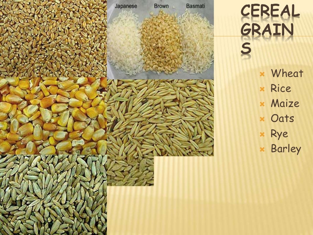 Grain structure of major cereals, pulses and oilseed