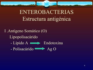 ENTEROBACTERIAS Estructura antigénica I .Antígeno Somático (O) Lipopolisacárido - Lípido A  Endotoxina - Polisacárido  Ag O 