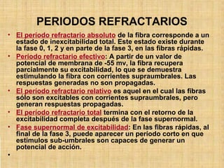 PERIODOS REFRACTARIOS
• El período refractario absoluto de la fibra corresponde a un
estado de inexcitabilidad total. Este estado existe durante
la fase 0, 1, 2 y en parte de la fase 3, en las fibras rápidas.
• Período refractario efectivo: A partir de un valor de
potencial de membrana de -55 mv, la fibra recupera
parcialmente su excitabilidad, lo que se demuestra
estimulando la fibra con corrientes supraumbrales. Las
respuestas generadas no son propagadas.
• El período refractario relativo es aquel en el cual las fibras
sólo son excitables con corrientes supraumbrales, pero
generan respuestas propagadas.
• El período refractario total termina con el retorno de la
excitabilidad completa después de la fase supernormal.
• Fase supernormal de excitabilidad: En las fibras rápidas, al
final de la fase 3, puede aparecer un período corto en que
estímulos sub-umbrales son capaces de generar un
potencial de acción.
•
 
