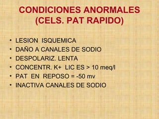 CONDICIONES ANORMALES
(CELS. PAT RAPIDO)
• LESION ISQUEMICA
• DAÑO A CANALES DE SODIO
• DESPOLARIZ. LENTA
• CONCENTR. K+ LIC ES > 10 meq/l
• PAT EN REPOSO = -50 mv
• INACTIVA CANALES DE SODIO
 