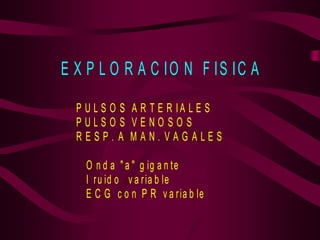 E X P L O R A C IO N F IS IC A
P U L S O S A R T E R IA L E S
P U L S O S V E N O S O S
R E S P . A M A N . V A G A L E S
O n d a " a " g ig a n te
I ru id o v a ria b le
E C G c o n P R v a ria b le
 