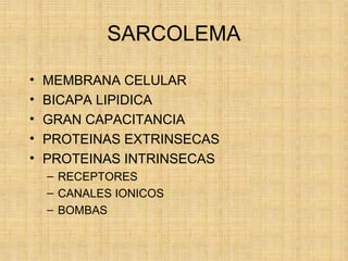 SARCOLEMA
• MEMBRANA CELULAR
• BICAPA LIPIDICA
• GRAN CAPACITANCIA
• PROTEINAS EXTRINSECAS
• PROTEINAS INTRINSECAS
– RECEPTORES
– CANALES IONICOS
– BOMBAS
 