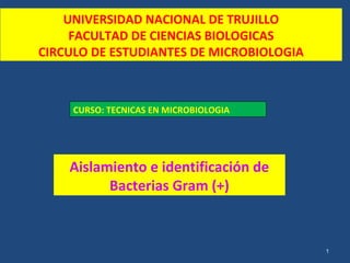 UNIVERSIDAD NACIONAL DE TRUJILLO
FACULTAD DE CIENCIAS BIOLOGICAS
CIRCULO DE ESTUDIANTES DE MICROBIOLOGIA
Aislamiento e identificación de
Bacterias Gram (+)
CURSO: TECNICAS EN MICROBIOLOGIA
1
 