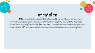 12
การเกิดโรค
MC สำมำรถก่อให้เกิดกำรติดเชื้อที่เยื่อเมือกในเด็กและผู้ใหญ่. แบคทีเรียจำกอำณำนิคมทำงเดิน
หำยใจจะเป็นเว็บไซต์ของอำกำรทำงคลินิกภูมิภำคกำรติดเชื้อแพร่กระจำยอยู่ติดกัน. ช่องจมูก MC เข้ำไปในหูชั้น
กลำงสำมำรถก่อให้เกิดโรคหูน้ำหนวกผ่ำนท่อ Eustachian. มีงำนวิจัยที่แสดงให้เห็นว่ำหูชั้นกลำงอักเสบที่เกิดจำก
กำรที่ทำให้เกิดโรค MC อำณำนิคมแบคทีเรียรวมทั้งระบบทำงเดินหำยใจเป็นขั้นตอนแรกในกำรเกิดโรคหูน้ำหนวก
 