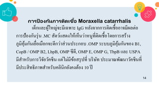 14
การป้ องกันการติดเชื้อ Moraxella catarrhalis
เด็กและผู้ใหญ่จะมีเฉพาะ IgG หลังจากการติดเชื้ออาจมีผลต่อ
การป้องกันรุ่น .MC สัตว์แสดงให้เห็นว่าหนูที่ติดเชื้อโดยการสร้าง
ภูมิคุ้มกันเยื่อเมือกจะดีกว่าส่วนประกอบ .OMP ระบบภูมิคุ้มกันของ B1,
CopB / OMP B2, LbpB, OMP ซีดี, OMP E, OMP G, TbpB และ USPA
มีสาหรับการวิจัยวัคซีน แต่ไม่มีข้อสรุปที่ บริษัท ประมาณพัฒนาวัคซีนที่
มีประสิทธิภาพสาหรับคลินิกยังคงต้อง 10 ปี
 