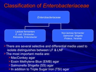 Classification ofClassification of EnterobacteriaceaeEnterobacteriaceae
Enterobacteriaceae
Lactose fermenters
E. coli, Citrobacter,
Klebsiella, Enterobacter
Non-lactose fermenter
Salmonell, Shigella
Proteus, Yersinia
There are several selective and differential media used to
isolate distinguishes between LF & LNF
The most important media are:
MacConkey agar
Eosin Methylene Blue (EMB) agar
Salmonella Shigella (SS) agar
In addition to Triple Sugar Iron (TSI) agar
 