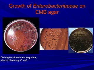 Growth ofGrowth of EnterobacteriaceaeEnterobacteriaceae onon
EMB agarEMB agar
Coli-type colonies are very dark,
almost black e.g. E. coli
 