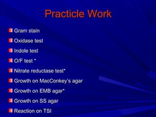 Practicle WorkPracticle Work
Gram stainGram stain
Oxidase testOxidase test
Indole testIndole test
O/F test *O/F test *
Nitrate reductase test*Nitrate reductase test*
Growth on MacConkey’s agarGrowth on MacConkey’s agar
Growth on EMB agar*Growth on EMB agar*
Growth on SS agarGrowth on SS agar
Reaction on TSIReaction on TSI
 
