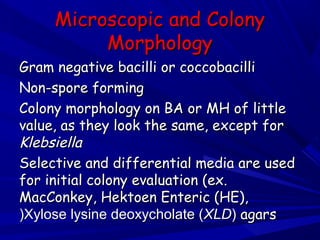 Microscopic and ColonyMicroscopic and Colony
MorphologyMorphology
Gram negative bacilli or coccobacilliGram negative bacilli or coccobacilli
Non-spore formingNon-spore forming
Colony morphology on BA or MH of littleColony morphology on BA or MH of little
value, as they look the same, except forvalue, as they look the same, except for
KlebsiellaKlebsiella
Selective and differential media are usedSelective and differential media are used
for initial colony evaluation (ex.for initial colony evaluation (ex.
MacConkey, Hektoen Enteric (HE),MacConkey, Hektoen Enteric (HE),
Xylose lysine deoxycholate (Xylose lysine deoxycholate (XLDXLD(( agarsagars((
 