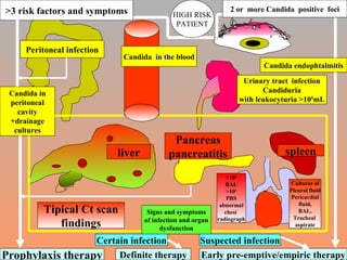 Candida endophtalmitis Urinary tract  infection Candiduria with leukocyturia >10 5 mL Pancreas pancreatitis liver Candida  in the blood Peritoneal infection Candida in peritoneal cavity +drainage cultures HIGH RISK PATIENT >3 risk factors and symptoms 2 or  more Candida  positive  foci spleen Tipical Ct scan findings Prophylaxis therapy Signs and symptoms of infection and organ dysfunction Certain infection Suspected infection Definite therapy Early pre-emptive/empiric therapy Cultures of Pleural fluid Pericardial fluid, BAL, Tracheal  aspirate >10 4 BAL >10 3 PBS abnormal chest  radiograph 