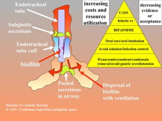 Dispersal of biofilm  with ventilation Pooled  secretions in airway Endotracheal tube cuff Subglottic secretions Endotracheal tube biofilm Wean/semirecumbent/condensate removal/avoid gastric overdistension Avoid sedation/Infection control Oral care/oral intubation BIPAP/HME Kinetic rx CASS increasing costs and resource utilization  decreasing evidence  or  acceptance Kinetic rx= kinetic therapy CASS= Coninuous aspiration subglottic space 