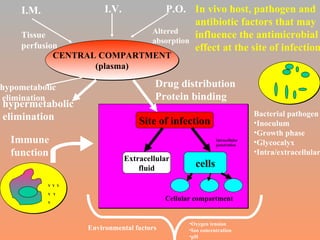 Site of infection Extracellular fluid cells Cellular compartment Intracellular penetration Environmental factors Oxygen tension Ion concentration pH Y  Y  Y Y  Y Y Immune function CENTRAL COMPARTMENT (plasma) I.V. P.O. Altered absorption I.M. Tissue perfusion Drug distribution Protein binding hypermetabolic elimination hypometabolic elimination Bacterial pathogen Inoculum Growth phase Glycocalyx Intra/extracellular In vivo host, pathogen and  antibiotic factors that may  influence the antimicrobial effect at the site of infection 