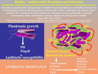 Biofilm , Antimicrobial Resistance and Infections Stimulation of Staphylococcus epidermidis growth and biofilm formation by catecholamine inotropes The ability of catecholamine inotropic drugs to stimulate bacterial proliferation and biofilm formation may be an aetiological factor in the development of intravascular catheter colonisation and catheter related infection. The removal of iron from trasferrin for subsequent use by S. epidermidis is a possible mechanism by which catecholamine inotropes stimulate bacterial growth as biofilms Lancet 2003; 361:130-135 Singh PK, Parsek MR, Greenberg EP, Welsh MJ A component of innate immunity prevents bacterial biofilm development . Nature 2002; 417:552-5 Drenkard E, Ausubel FM Psedomonas biofilm formation and antibiotic resistance are linked to phenotypic variation. Nature 2002; 416:740-3 Planktonic growth Pili Flagella Antibiotic susceptibility QS QS QS QS Quorum Sensors (homoserine lactones) Transcriptional  activators LasR RhIR Proteases Hemolysins ExotoxinA Pyocyanin Superoxide dismutase Catalase  ANTIBIOTIC RESISTANCE 
