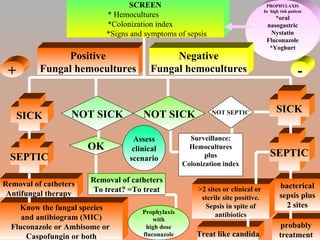 SCREEN * Hemocultures  *Colonization index  *Signs and symptoms of sepsis SICK NOT SICK NOT SICK SICK + - SEPTIC OK Removal of catheters To treat? =To treat Removal of catheters Antifungal therapy Know the fungal species and antibiogram (MIC) Fluconazole or Ambisome or  Caspofungin or both Prophylaxis with high dose fluconazole SEPTIC Surveillance: Hemocultures plus Colonization index >2 sites or clinical or  sterile site positive. Sepsis in spite of antibiotics Treat like candida NOT SEPTIC bacterical sepsis plus 2 sites probably treatment PROPHYLAXIS In  high risk patient *oral nasogastric Nystatin Fluconazole *Yoghurt Positive Fungal hemocultures Negative Fungal hemocultures Assess clinical scenario 