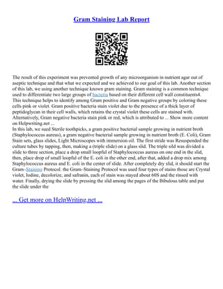 Gram Staining Lab Report
The result of this experiment was prevented growth of any microorganism in nutrient agar out of
aseptic technique and that what we expected and we achieved to our goal of this lab. Another section
of this lab, we using another technique known gram staining. Gram staining is a common technique
used to differentiate two large groups of bacteria based on their different cell wall constituents4.
This technique helps to identify among Gram positive and Gram negative groups by coloring these
cells pink or violet. Gram positive bacteria stain violet due to the presence of a thick layer of
peptidoglycan in their cell walls, which retains the crystal violet these cells are stained with.
Alternatively, Gram negative bacteria stain pink or red, which is attributed to ... Show more content
on Helpwriting.net ...
In this lab, we sued Sterile toothpicks, a gram positive bacterial sample growing in nutrient broth
(Staphylococcus aureus), a gram negative bacterial sample growing in nutrient broth (E. Coli), Gram
Stain sets, glass slides, Light Microscopes with immersion oil. The first stride was Resuspended the
culture tubes by tapping, then, making a (triple slide) on a glass slid. The triple sild was divided a
slide to three section, place a drop small loopful of Staphylococcus aureus on one end in the slid,
then, place drop of small loopful of the E. coli in the other end, after that, added a drop mix among
Staphylococcus aureus and E. coli in the center of slide. After completely dry slid, it should start the
Gram–Staining Protocol. the Gram–Staining Protocol was used four types of stains those are Crystal
violet, Iodine, decolorize, and safranin, each of stain was stayed about 60S and the rinsed with
water. Finally, drying the slide by pressing the slid among the pages of the Bibulous table and put
the slide under the
... Get more on HelpWriting.net ...
 