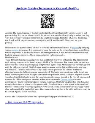 Applying Staining Techniques to View and Identify...
Abstract The main objective of this lab was to identify different bacteria by simple, negative, and
gram staining. To view each bacteria cell, the bacteria was transferred aseptically to a slide, and they
were then viewed by using oil immersion, by a light microscope. From this lab, it was determined
that E. coli and B. megaterium are gram negative and B. subtilis and S. Marcesans are gram
positive.
Introduction The purpose of this lab was to view the different characteristics of bacteria by applying
various staining techniques. It is important to know the make up if a certain bacteria so an antibiotic
may be engineered to destroy the bacteria. From the gram stain, it was possible to determine which
bacteria was gram positive ... Show more content on Helpwriting.net ...
Distilled water
Three different staining procedures were then used for all four types of bacteria. The directions for
each staining process can be found on pages 18–19 of the lab manual. For simple stain, bacteria was
removed with a sterile inoculating loop and placed on a glass slide. Methylene blue was then applied
until the slide was covered. Distilled water was then poured on the slide until the methylene blue
was removed. The slide was allowed to dry. Next, oil was placed on the slide so that the oil
objective lens on the light microscope was employed. The bacterium was viewed and a sketch was
made. For the negative stain, a loopful of bacteria was placed on a slide. A drop of Nigrosin solution
was placed next to the bacteria, and the blood smearing technique learned in the first lab was applied
to cover the slide with nigrosin solution. A sketch was then made. Gram staining was more
complicated. First, two separate types of bacteria were used. One type was placed on one slide, and
the other bacteria were placed on the opposite side. Both bacteria were also placed in the middle of
the slide so they could be viewed together. Crystal violet, iodine and safranin were all placed on the
slide and washed off with distilled water. Once dried, oil was applied to the slide, and it was ready to
be viewed. Again a sketch was made.
Results The sketches were drawn on a separate piece of paper and then revised. A
... Get more on HelpWriting.net ...
 