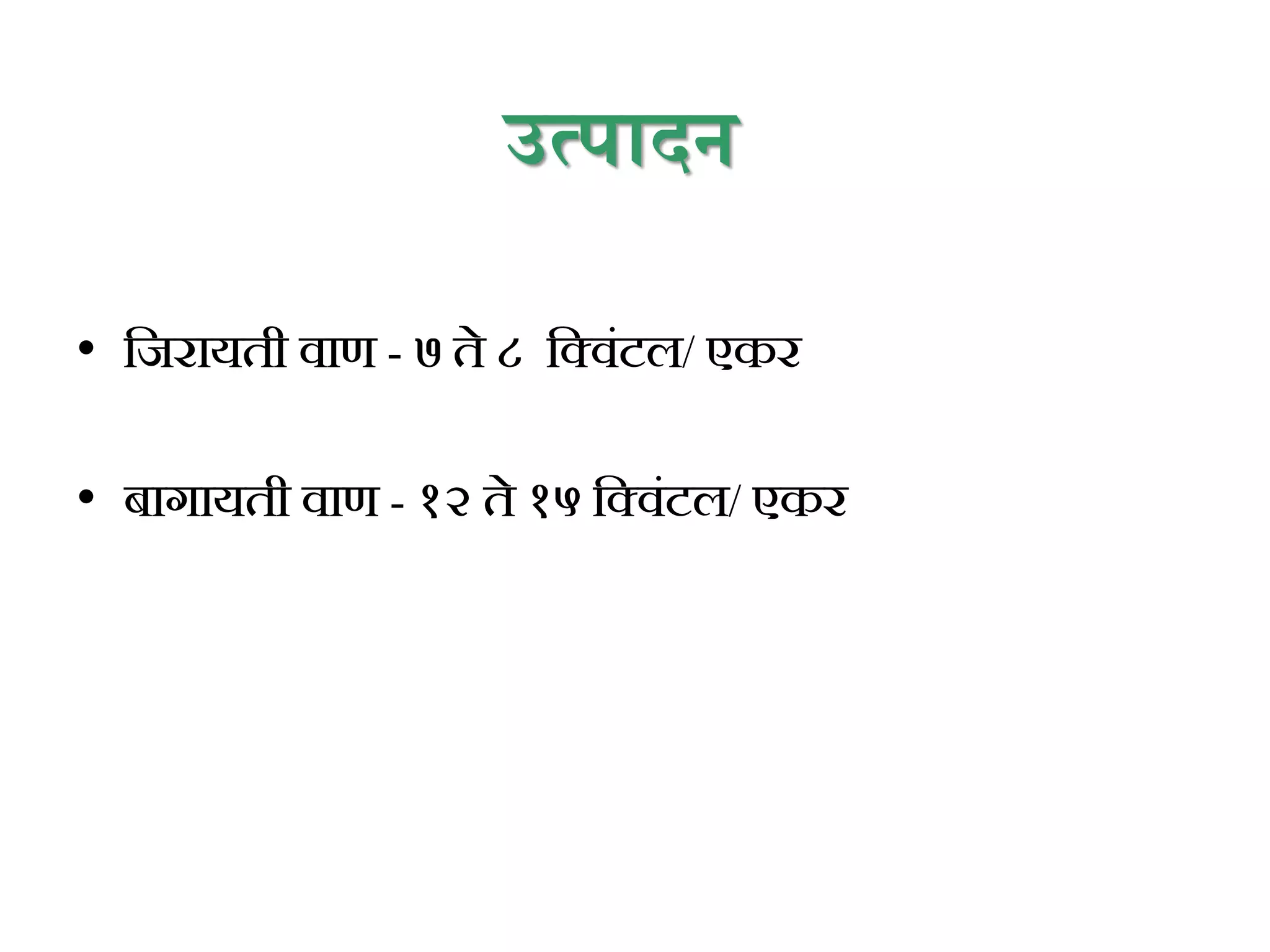 उत्पादन
• कजरायती वाण - ७ ते ८ कक्विंटल/ एकर
• िागायती वाण - १२ ते १५ कक्विंटल/ एकर
 