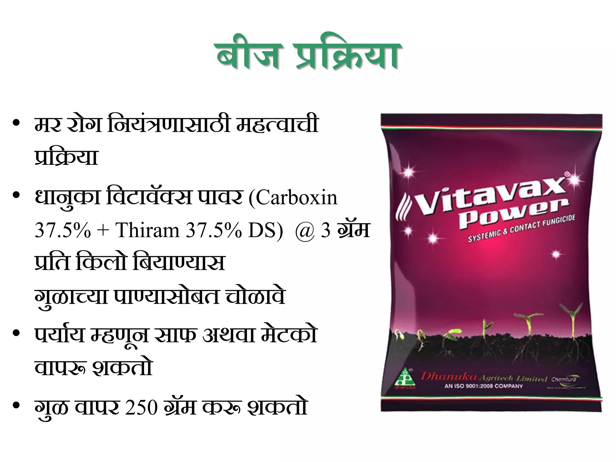 बीज िप्रिया
• मर रोग कनयिंत्रणासाठी महत्वाची
प्रकिया
• धानुका कवटावॅक्स पावर (Carboxin
37.5% + Thiram 37.5% DS) @ 3 ग्रॅम
प्रकत ककलो कियाण्यास
गुळाच्या पाण्यासोित चोळावे
• पयााय म्हणून साफ अथवा मेटको
वापरू शकतो
• गुळ वापर 250 ग्रॅम करू शकतो
 