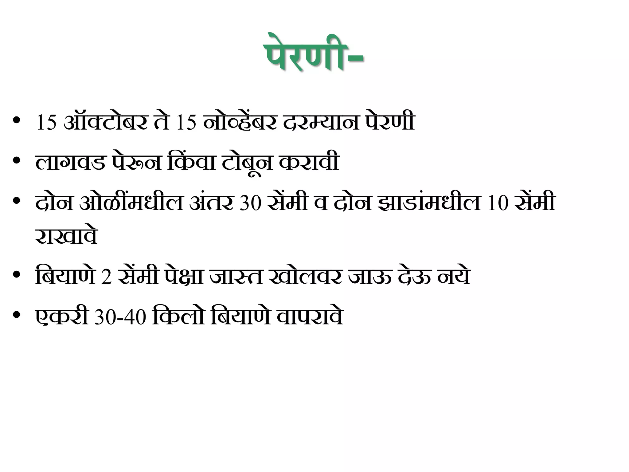 पेरणी-
• 15 ऑक्टोिर ते 15 नोव्हेंिर दरम्यान पेरणी
• लागवड पेरून कक
िं वा टोिून करावी
• दोन ओळींमधील अिंतर 30 सेंमी व दोन झाडािंमधील 10 सेंमी
राखावे
• कियाणे 2 सेंमी पेक्षा जास्त खोलवर जाऊ देऊ नये
• एकरी 30-40 ककलो कियाणे वापरावे
 