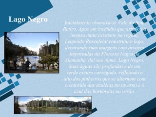 Lago Negro   Inicialmente chamava-se Vale do Bom
             Retiro. Após um incêndio que arrasou a
                 imensa mata existente na região,
              Leopoldo Rosenfeldt construiu o lago,
              decorando suas margens com árvores
                importadas da Floresta Negra da
              Alemanha, daí seu nome, Lago Negro.
                Suas águas são profundas e de um
               verde escuro carregado, refletindo o
             alto dos pinheiros que se alternam com
              o colorido das azaléias no inverno e o
                   azul das hortênsias no verão.
 