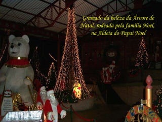 Gramado da beleza da Árvore de 
Natal, rodeada pela família Noel, 
na Aldeia do Papai Noel 
 