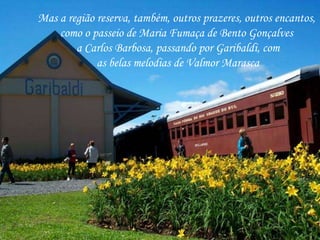 Mas a região reserva, também, outros prazeres, outros encantos, 
como o passeio de Maria Fumaça de Bento Gonçalves 
a Carlos Barbosa, passando por Garibaldi, com 
as belas melodias de Valmor Marasca 
 