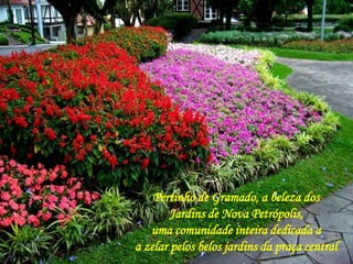 Pertinho de Gramado, a beleza dos 
Jardins de Nova Petrópolis, 
uma comunidade inteira dedicada a 
a zelar pelos belos jardins da praça central 
 