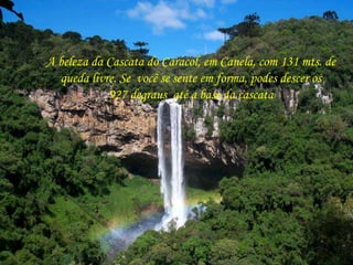 A beleza da Cascata do Caracol, em Canela, com 131 mts. de 
queda livre. Se você se sente em forma, podes descer os 
927 degraus até a base da cascata 
 