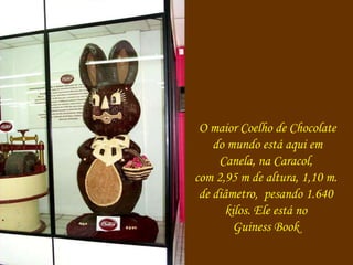 O maior Coelho de Chocolate 
do mundo está aqui em 
Canela, na Caracol, 
com 2,95 m de altura, 1,10 m. 
de diâmetro, pesando 1.640 
kilos. Ele está no 
Guiness Book 
 