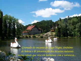 Gramado do encanto do Lago Negro, sinônimo 
de beleza e de preservação dos recursos naturais 
numa cidade que vive em harmonia com a natureza... 
 